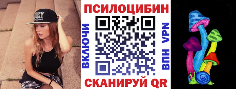 купить   Сочи  Галлюциногенные грибы прущие грибы 